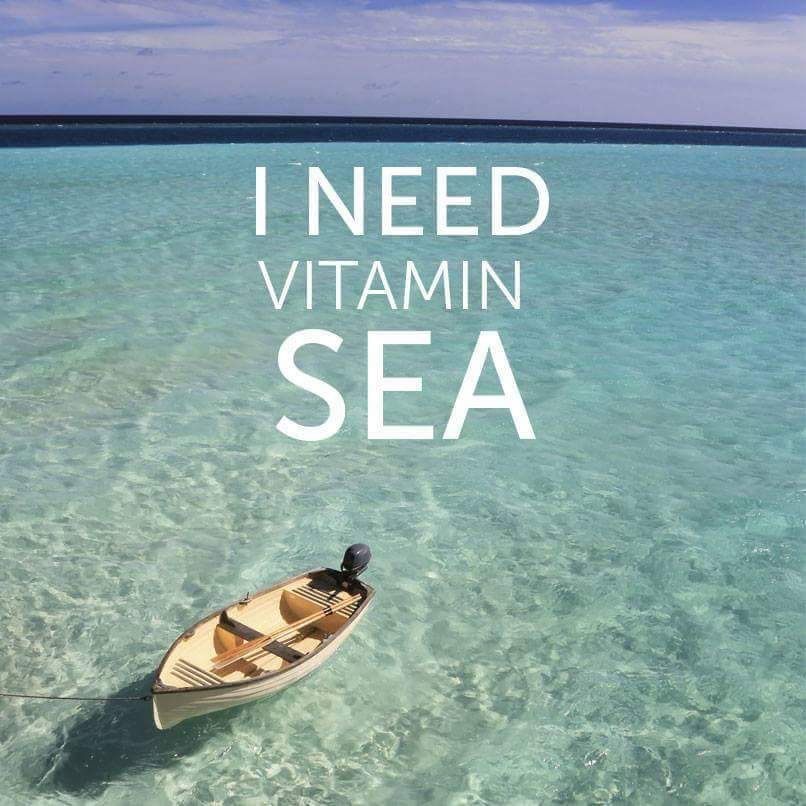 contact-vitamin-sea